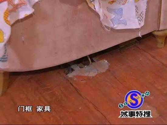 吓人!广州一豪宅被白蚁侵袭 女主人不敢回家 - 天地人 - 天地人和 吓人!广州一豪宅被白蚁侵袭 女主人不敢回家 - 天地人 - 天地人和