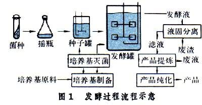 典型流程可分成六个基本组成部分(图1①供菌体生长和产物形成所用