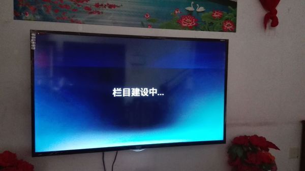 海尔模卡互联网电视无法播放网络电视,显示栏