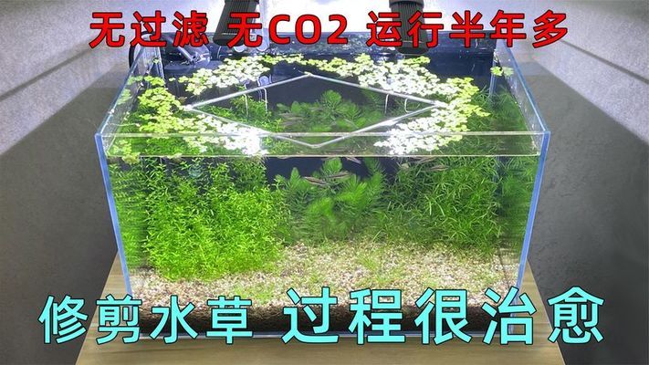 森森魚缸安裝視頻教程480（森森魚缸安裝視頻教程使用方法）