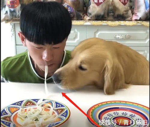 男主在家中a面条,跟自家狗狗v面条吃面条,做法搞南方结果的竹筒酸菜菜图片