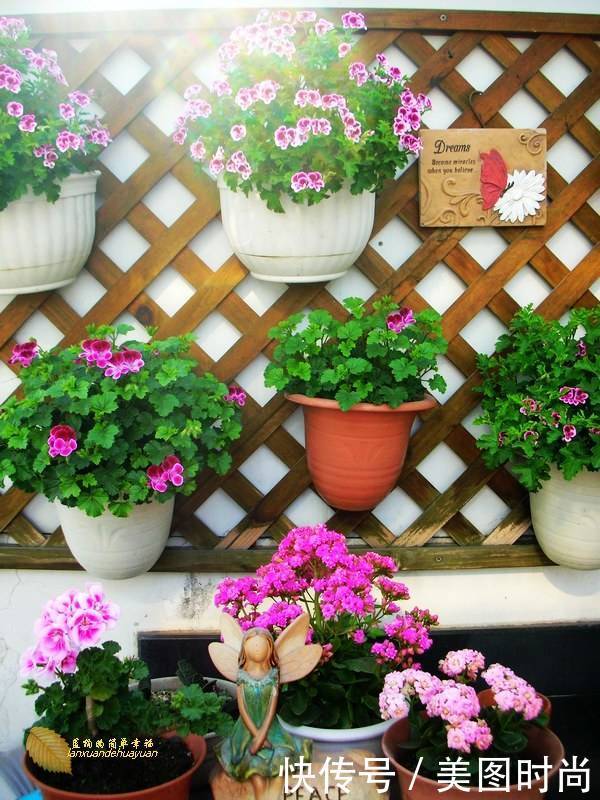 有个“露台花园”折腾,真好!此景此情,喝茶,看书 太惬意啦!