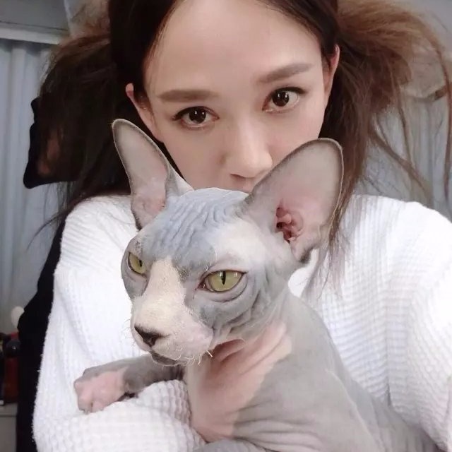 《下一站,别离》秋阳帮盛夏捏脚被萧伯看见 ,解