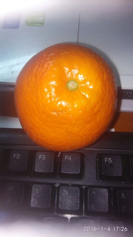 这是什么类型的橙子啊,很甜_360问答