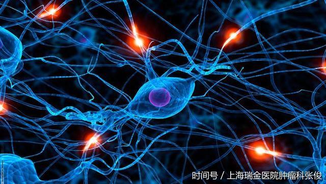 为您拉上癌症安全带!单靠三个英文字母,如何透