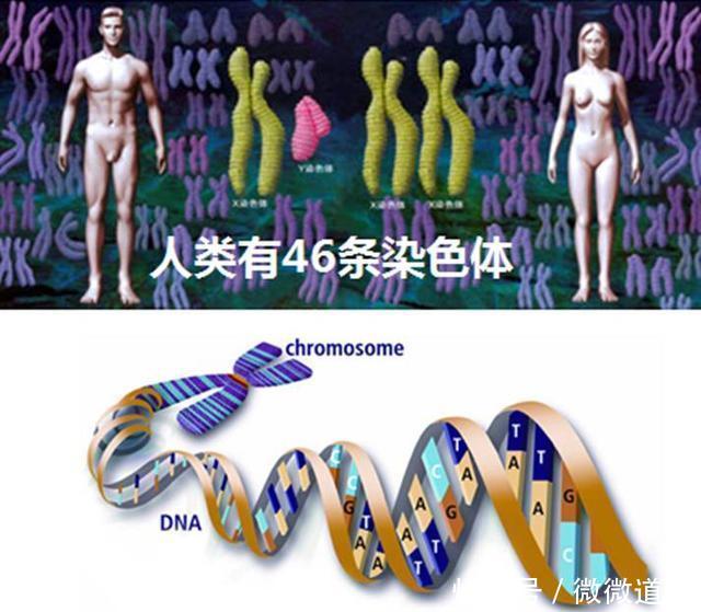 科学界最尖端的125个谜团, 诺贝尔奖在等待它们