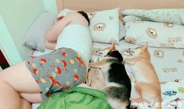 t01e9fbb5bbfd315f5d.jpg?size=600x357