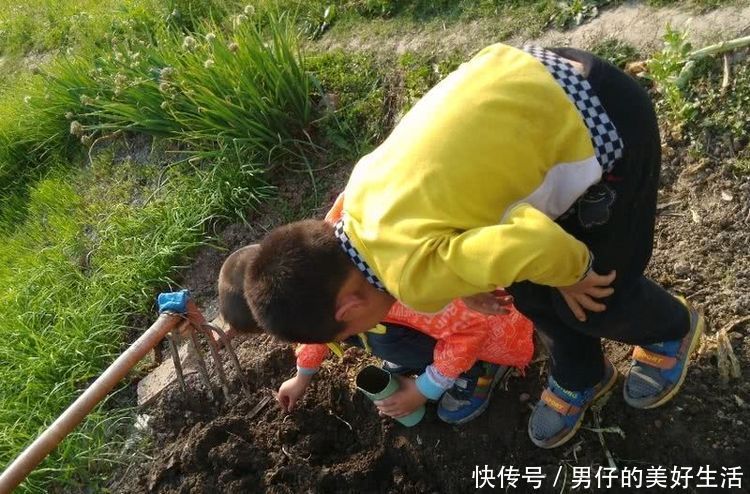 这东西在农村的菜地里很多,以前农村的小孩专门用来钓鱼!