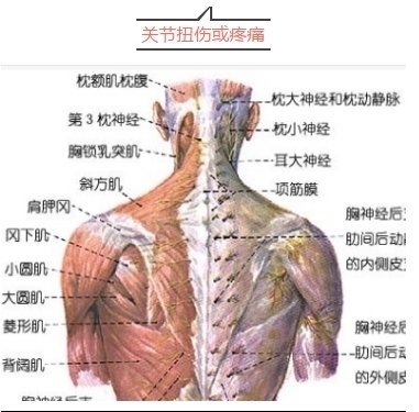 锻炼时腰嘎嘣一声,然后疼了九个月了,拍过ct最