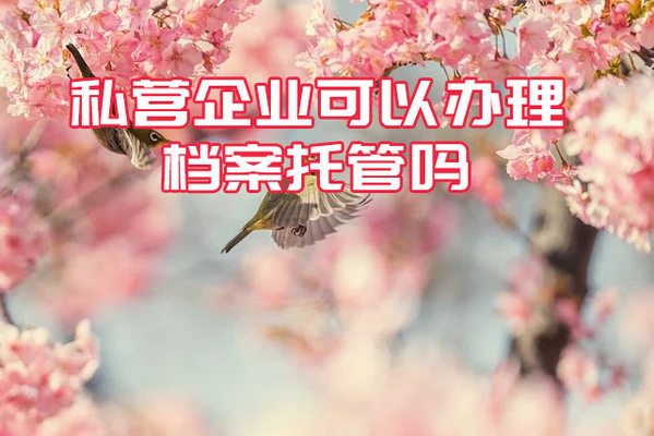 北京档案存放机构存档证明怎么开(北京人才市场档案服务指南) 钢结构跳台施工 第3张 北京档案存放机构存档证明怎么开(北京人才市场档案服务指南) 钢结构跳台施工 第3张