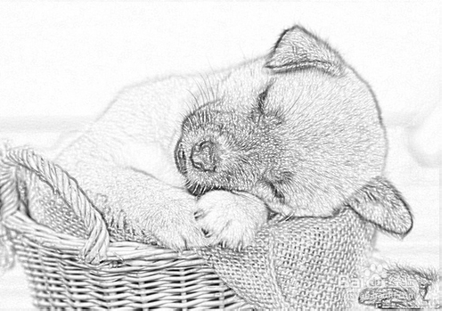 photoshop里可以把一个产品实物图变成素描图