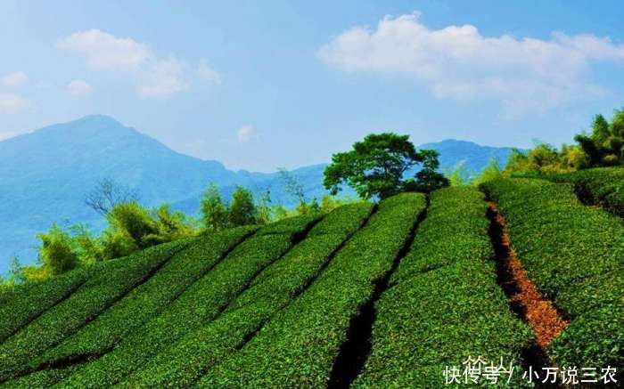 湖北9个深度贫困县17年发展如何?其实这2个县