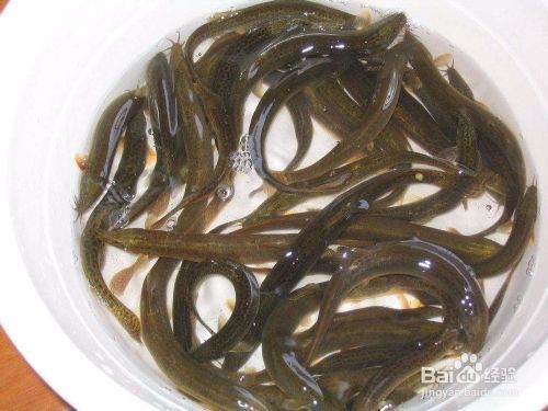 方鋼做魚(yú)缸底柜怎么包底柜好看（方鋼做魚(yú)缸底柜怎么包底柜好看呢）