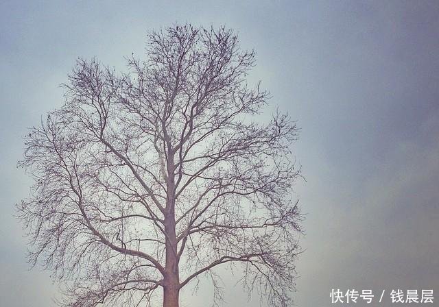 句句直戳人心的伤感句子, 句句扎心, 直击泪点!