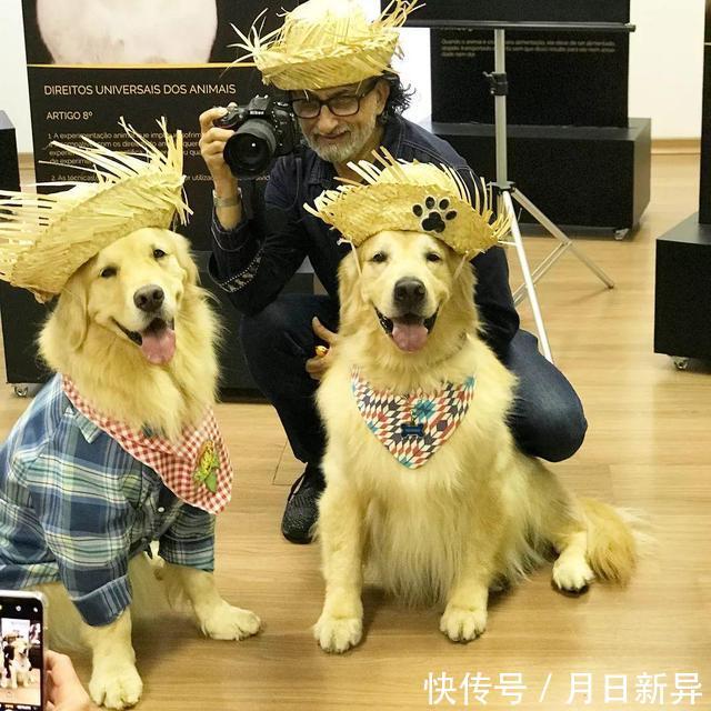 疗养院是干什么的