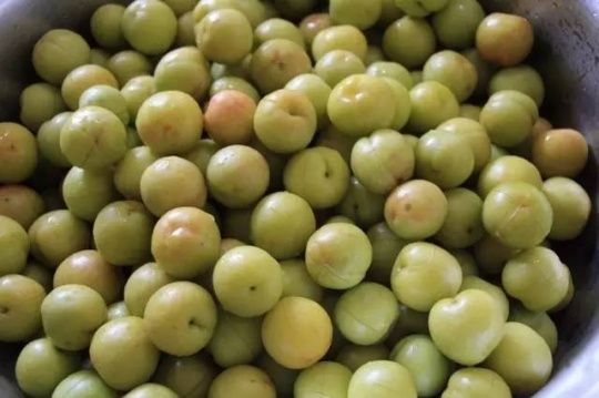 酸甜脆红李子的腌制方法_360问答