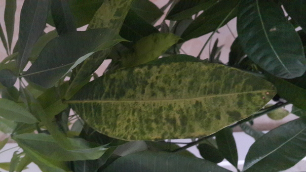 t01f33ade9496839750.jpg