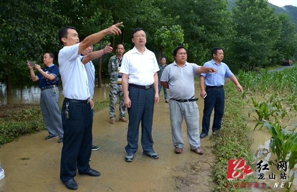 州委宣传部部长,龙山县委书记周云深入洗洛镇湾塘片区,召市镇,桂塘镇