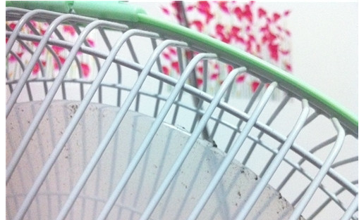 iphone6怎么拍出前景清晰背景模糊的_360问答