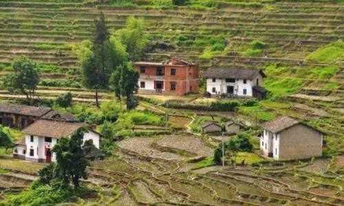 农村土地所有权