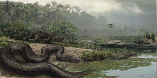 地球上13种最迷人史前生物,远古海鸟似飞机,巨猿已有20万岁