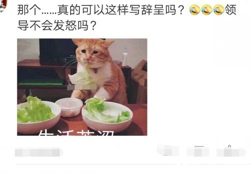 某表情写辞职信,只用1了一个网友金恩动态女孩表情包在,老板:求员工图片