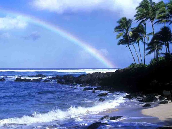 用PS怎么去掉图片的黑边框线,(裁剪可以但是改