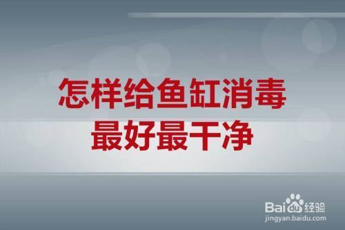 濮陽(yáng)彩鰈魚(yú)缸售后維護(hù) 彩鰈魚(yú)缸（彩蝶魚(yú)缸）