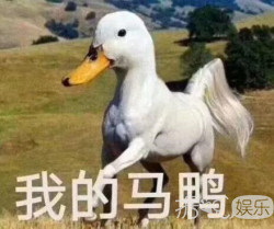 臧鸿飞谈离婚，网友却说假高尚？
