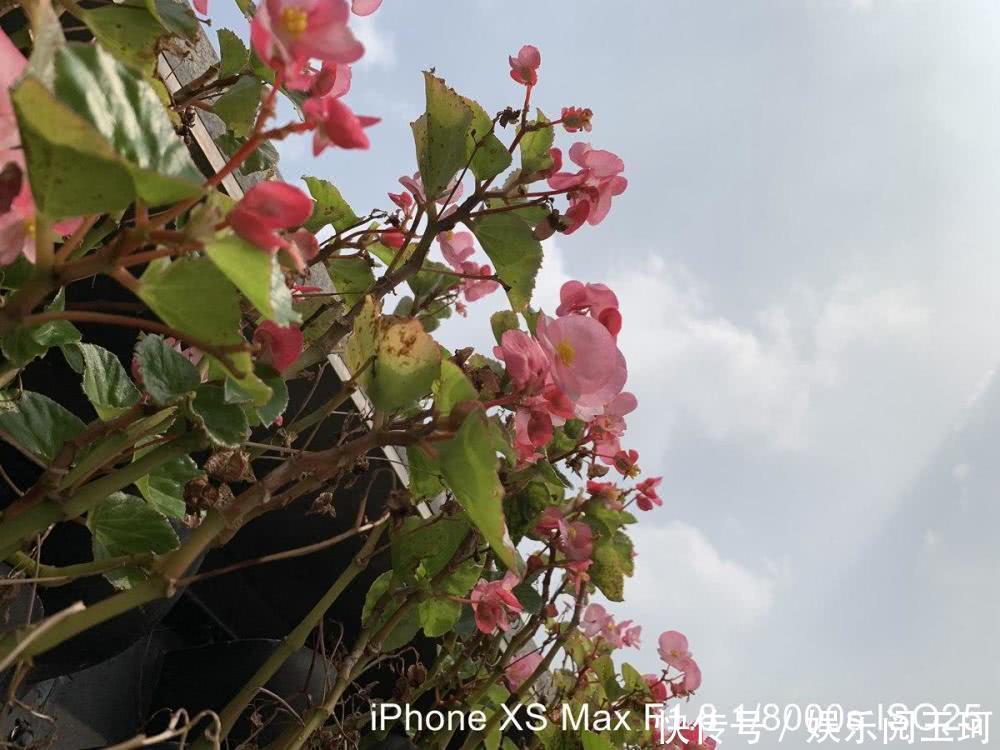 苹果三星华为三大旗舰拍照对比谁最出色