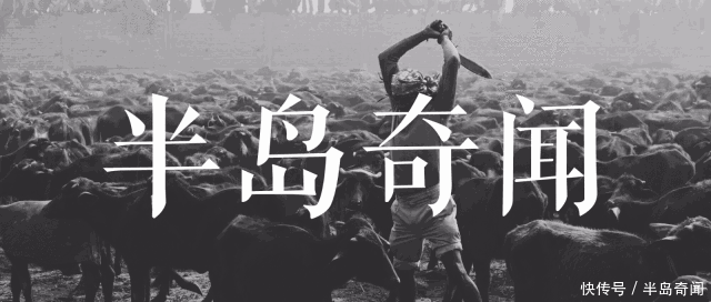 世界上最慢的火车，8小时行驶270公里，乘客还抱怨开太快！