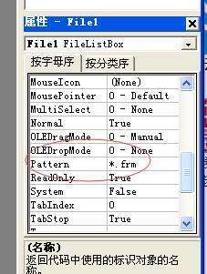 vb窗体设置中如何设置文件列表框只显示后缀名