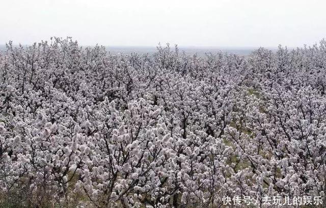 t01fc14c28219fa0b25.jpg?size=640x409