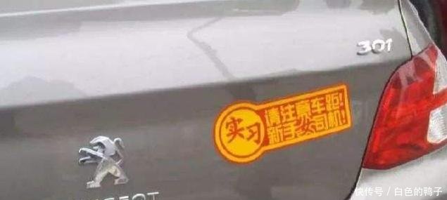 最牛女司机上路了,贴八张新手警示标语,请保持