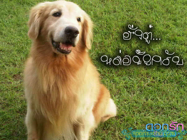 求泰剧,爱在旅途中文配音版的百度云_360问答