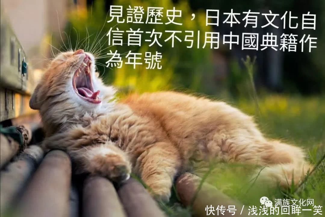 很多国人为什么关心日本确定年号?