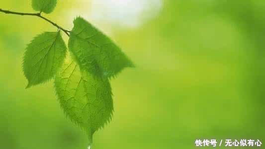 6句鼓舞人心的句子,句句暖心,值得一看