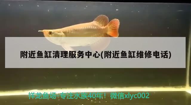 蘇州定制魚(yú)缸專賣店廠家（蘇州定制魚(yú)缸專賣店廠家地址）