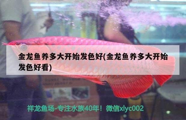 常州市中商水族用品有限公司（常州市中商水族用品有限公司招聘）