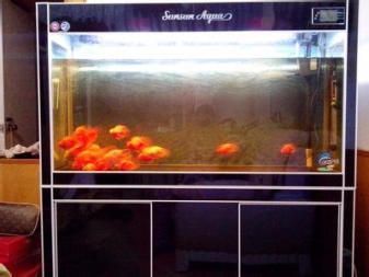 新買魚缸如何清洗(新買魚缸怎么清洗) 紅龍魚魚糧飼料