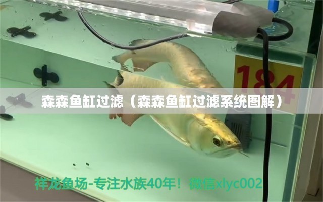 魟魚能清理魚缸垃圾（魟魚可以清理魚缸嗎）