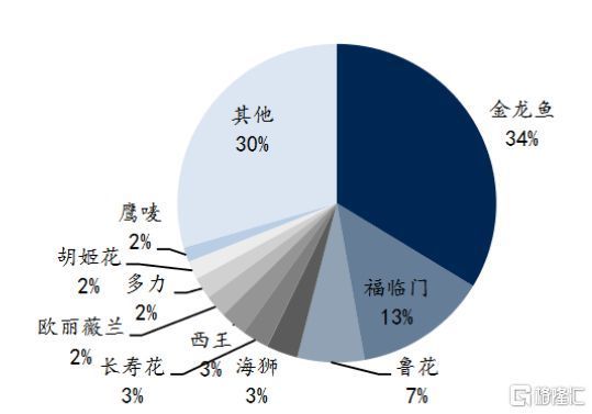 龍魚品牌排行榜前十名：龍魚品種排行榜