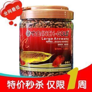 威海觀賞魚市場側濾魚缸怎么擺放濾材呀