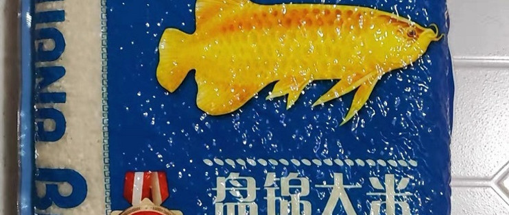 最好的龍魚缸品牌：哪個牌子龍魚缸好 廣州龍魚批發(fā)市場