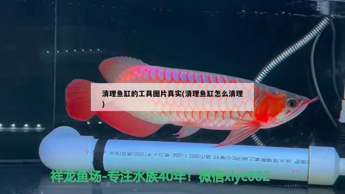 北京上門維修魚缸電話是多少（北京上門維修魚缸電話是多少號(hào)）