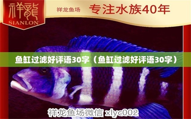 龍魚跳出魚缸會摔死嗎圖片大全（龍魚跳出魚缸會摔死嗎圖片大全視頻）