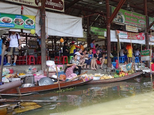 成都哪里有賣龍魚的店，成都哪里可以購買到高品質的龍魚？