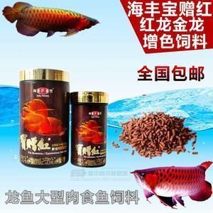 龍魚什么時(shí)候開始發(fā)色的（龍魚多大開始變色）