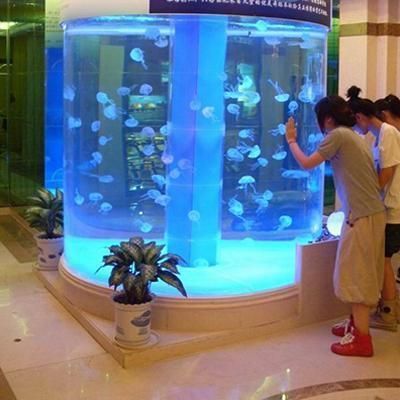 營(yíng)口市西市可麗愛(ài)水族商店