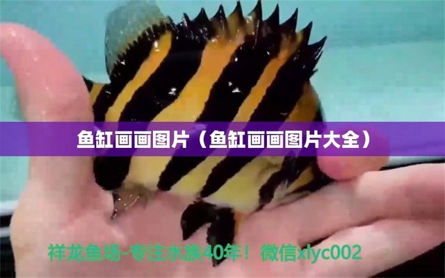 魚缸為啥長綠藻呢怎么回事（魚缸為什么總長綠藻）